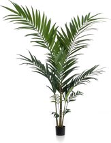 Kunstplant - Kentia -Kentiapalm - 150cm