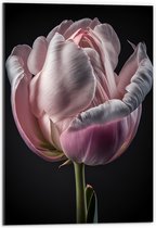 Acrylglas - Close-up van Roze Tulp tegen Zwarte Achtergrond - 40x60 cm Foto op Acrylglas (Met Ophangsysteem)