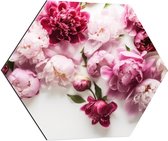 Dibond Hexagon - Mix van Roze Bloemen op Witte Achtergrond - 80x69.6 cm Foto op Hexagon (Met Ophangsysteem)