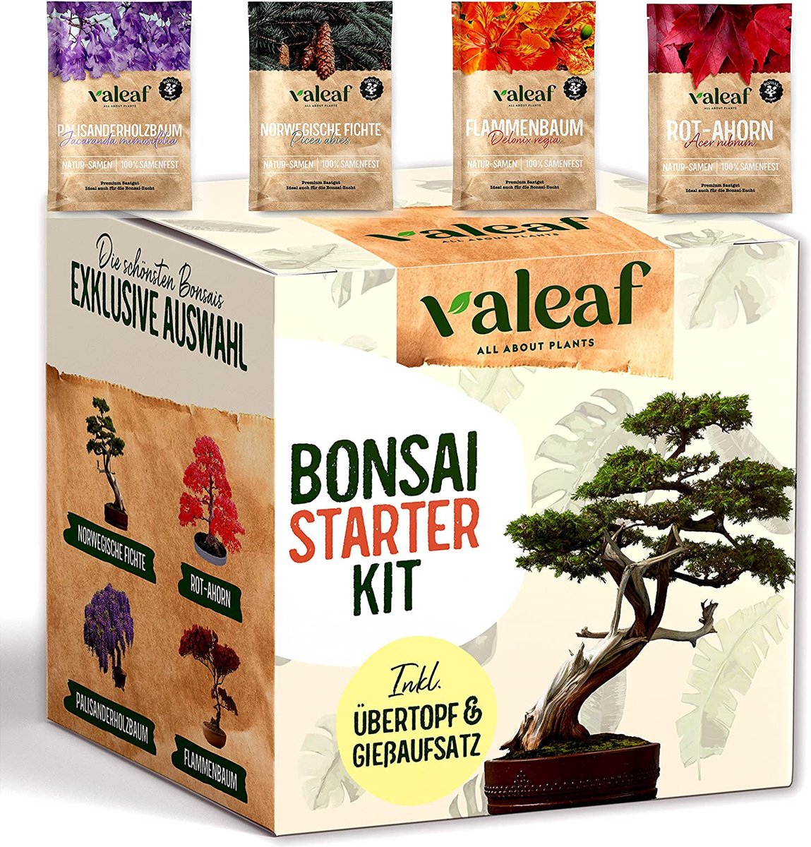 Valeaf Bonsaistarterset Deluxe - Bonsaikweekset met 4 soorten bonsaizaden, accessoires en bonsaikom voor het kweken van prachtige kamerplanten - Perfect cadeau voor beginners en gevorderden in de bonsaikunst.