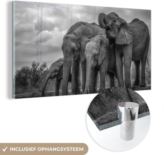 MuchoWow® Glasschilderij 80x40 cm - Schilderij acrylglas - Olifant - Dieren - Water - Zwart wit - Foto op glas - Schilderijen