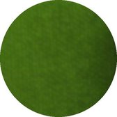 Aqua Facepaint 45gr vert herbe