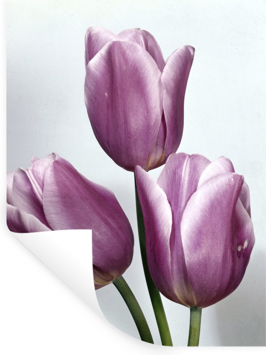 Muurstickers - Sticker Folie - Drie paarse tulpen - 30x40 cm - Plakfolie - Muurstickers Ki