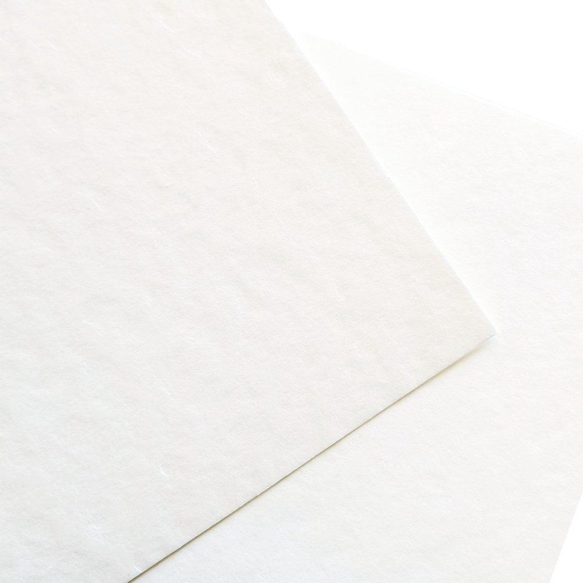 Papier cartonné texturé perlé 30.5x30.5cm de Florence (50 feuilles)