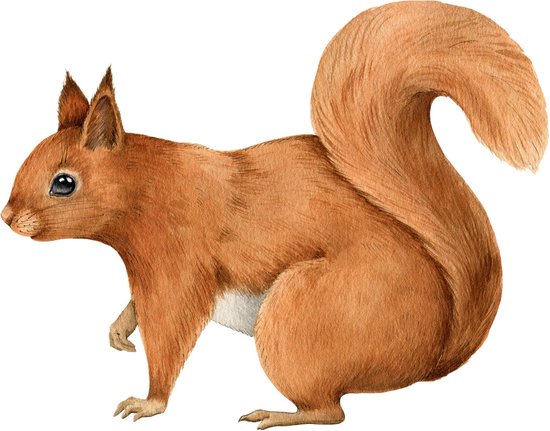 Muursticker Boom Dieren Groeimeter ⋆ Muurstickers Kinderkamer Muursticker Boom Dieren Groeimeter ⋆ Muurstickers Kinderkamer