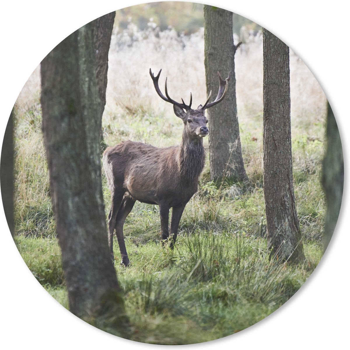 Muismat rond 20x20 cm - Mousepad Hert - Bomen - Gras - Ronde muismatten