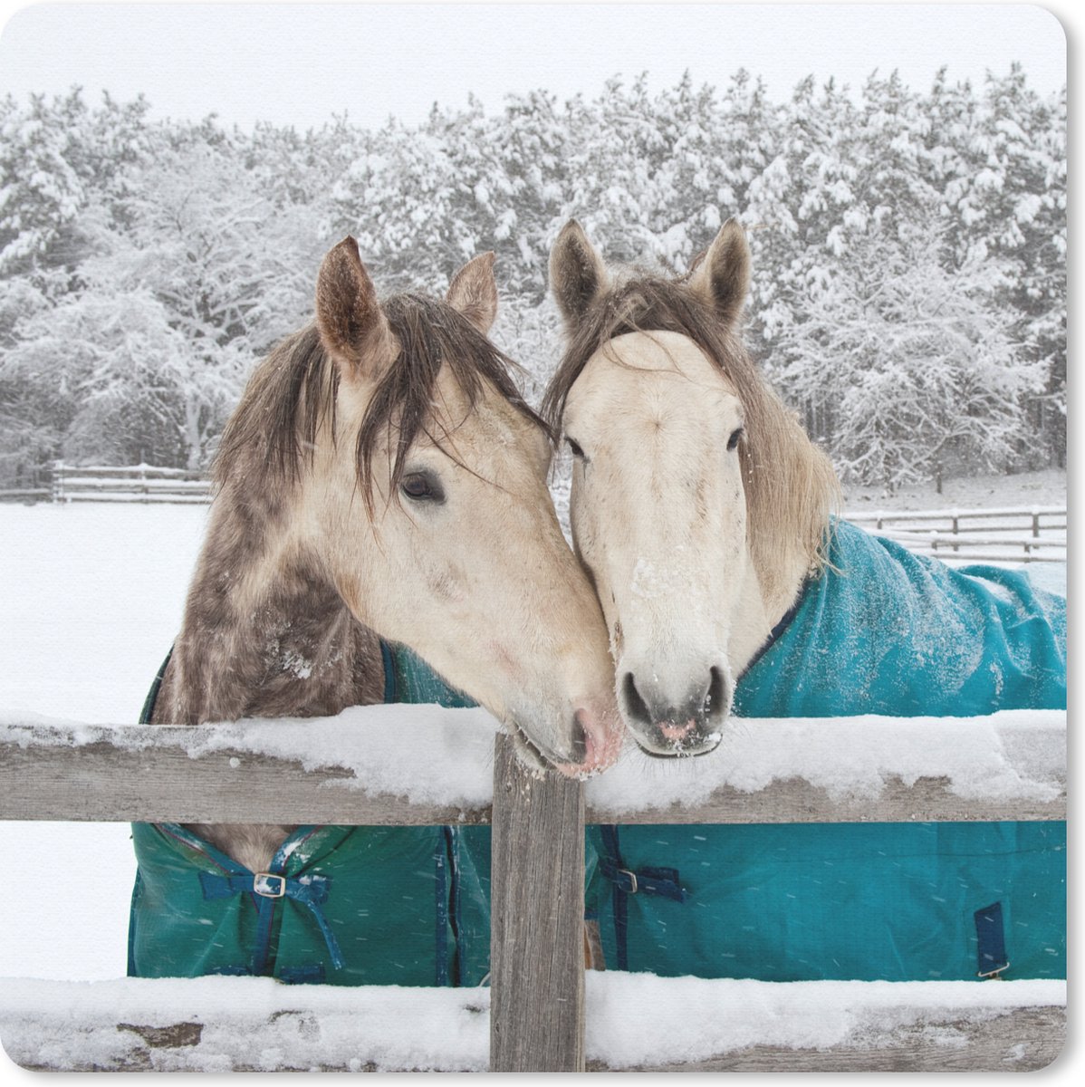 Muismat 30x30 cm - Mousepad Paarden - Deken - Sneeuw - Muismatten