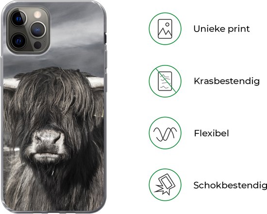 Coque iPhone 13 Pro - Highlander écossais - Animaux - Cornes - Siliconen