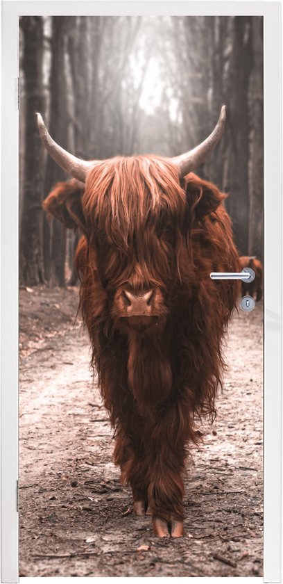 Poster de porte - Highlander écossais - Animaux - Vache - Nature - Sticker  de porte 
