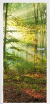 Deursticker Zon - Bos - Bomen - Natuur - Herfst - 85x215 cm - Deurposter