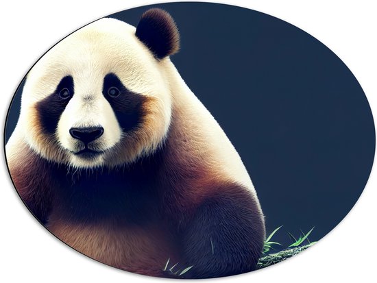 Dibond Ovaal - Aankijkende Mollige Panda op Tak - 68x51 cm Foto op Ovaal (Met Ophangsysteem)