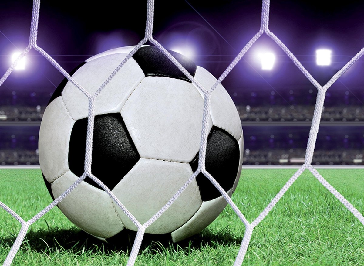 Voetbalnet Fotobehang XXL