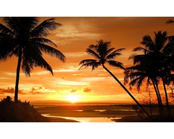 Poster | Oranje , Zwart | 104 x 70,5 cm