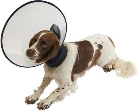 Buster Premium Dog Collar - Beschermkraag Medium | bol.com