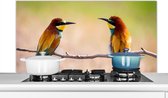 Spatscherm keuken 120x60 cm - Kookplaat achterwand Vogels - Bijeneter - Dieren - Muurbeschermer - Spatwand fornuis - Hoogwaardig aluminium