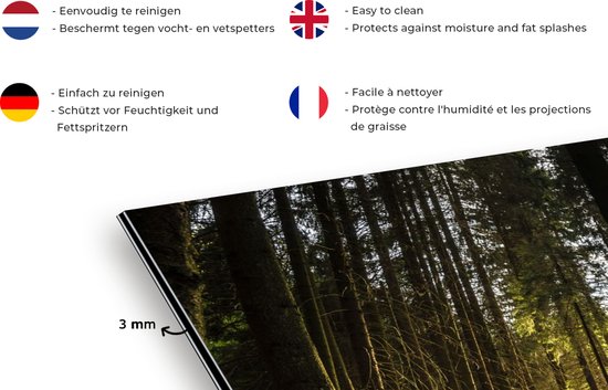Spatscherm keuken 60x30 cm - Kookplaat achterwand Boom - Natuur - Zon - Bos - Muurbeschermer - Spatwand fornuis - Hoogwaardig aluminium