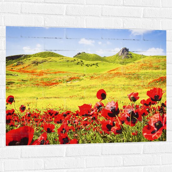Muursticker - Groep Rode Bloemen in Heuvellandschap - 100x75 cm Foto op Muursticker