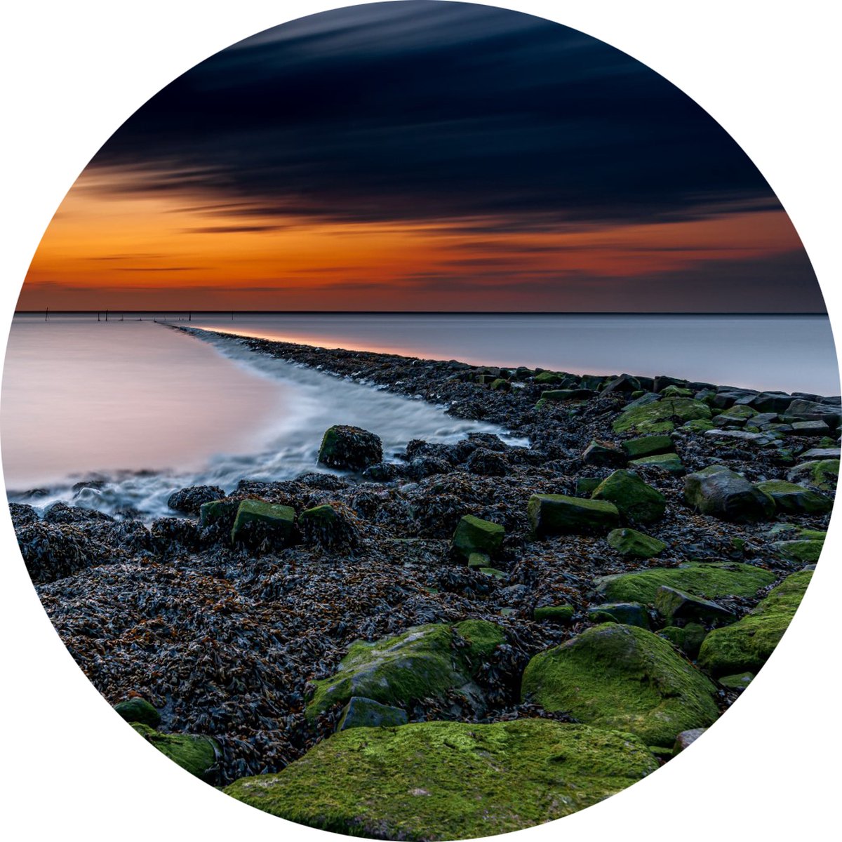 WyArt - Kunst aan de muur - landschap - groene stenen zee - 800x800 - TruLife - 3mm