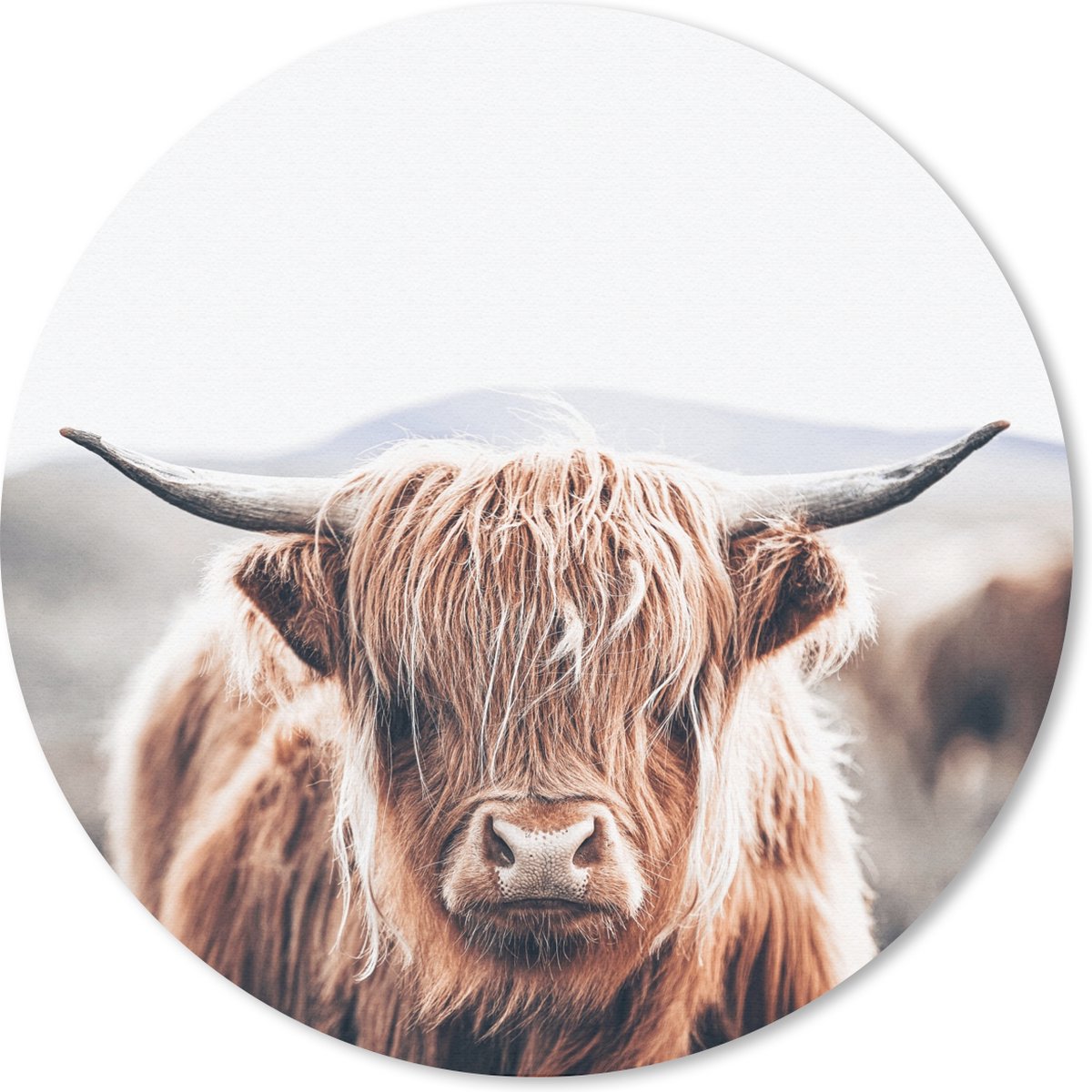 Muismat rond 20x20 cm - Mousepad Schotse Hooglander - Berg - Hoorn - Ronde muismatten