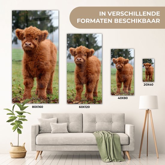 MuchoWow® Peinture sur verre 80x160 cm - Peinture sur verre acrylique - Highlander écossais - Veau - Herbe - Photo sur verre - Peintures