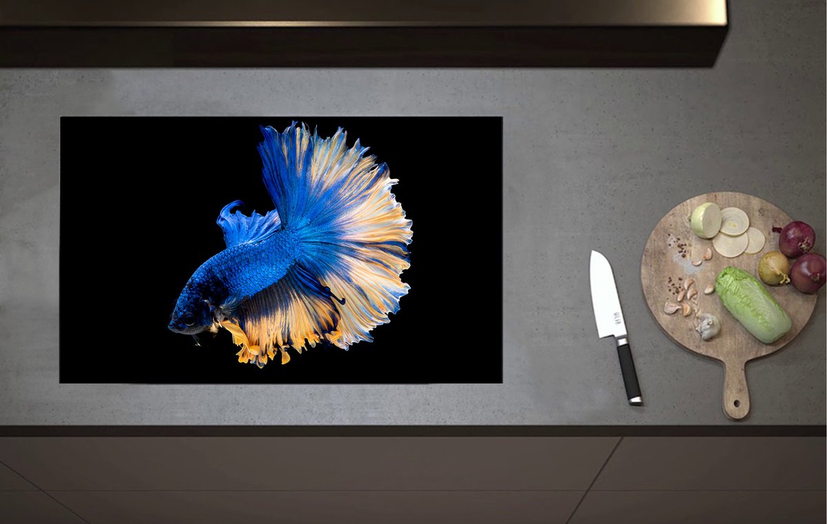 Inductieplaat Beschermer - Blauwe Siamese Kempvis van de Zijkant tegen Zwarte Achtergrond - 80x52 cm - 2 mm Dik - Inductie Beschermer van Vinyl