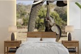 Behang - Fotobehang Baby olifant communiceert met moeder - Breedte 350 cm x hoogte 350 cm