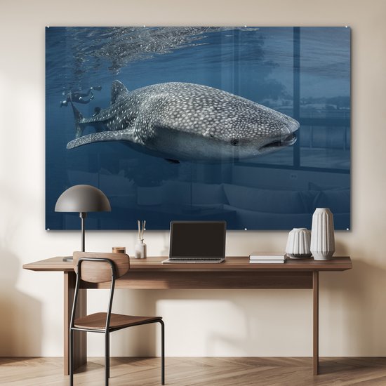 Peinture sur verre - Requin baleine nageant à la surface - 180x120 cm - Peintures sur Verre Peintures - Photo sur Glas