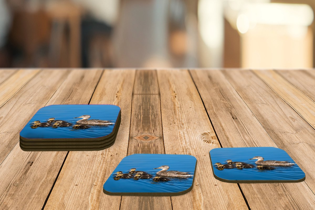 Onderzetters voor glazen - Eend - Water - Vogel - Bruin - 10x10 cm - Glasonderzetters - 6 stuks