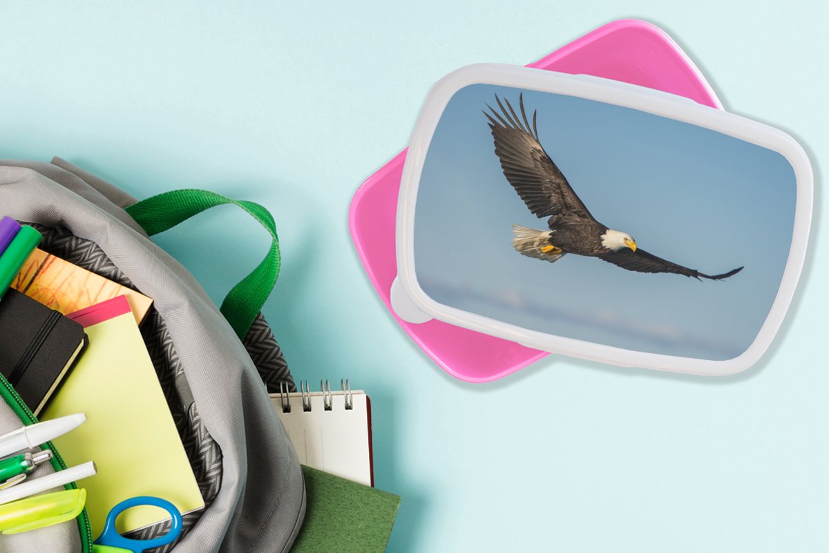 Broodtrommel Roze - Lunchbox - Brooddoos - Vogel - Arend - Roofvogels - 18x12x6 cm - Kinderen - Meisje