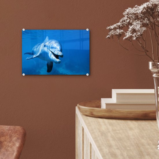 Peinture sur Verre - Dauphin - Water - Mer - 30x20 cm - Peintures sur Verre Peintures - Photo sur Glas