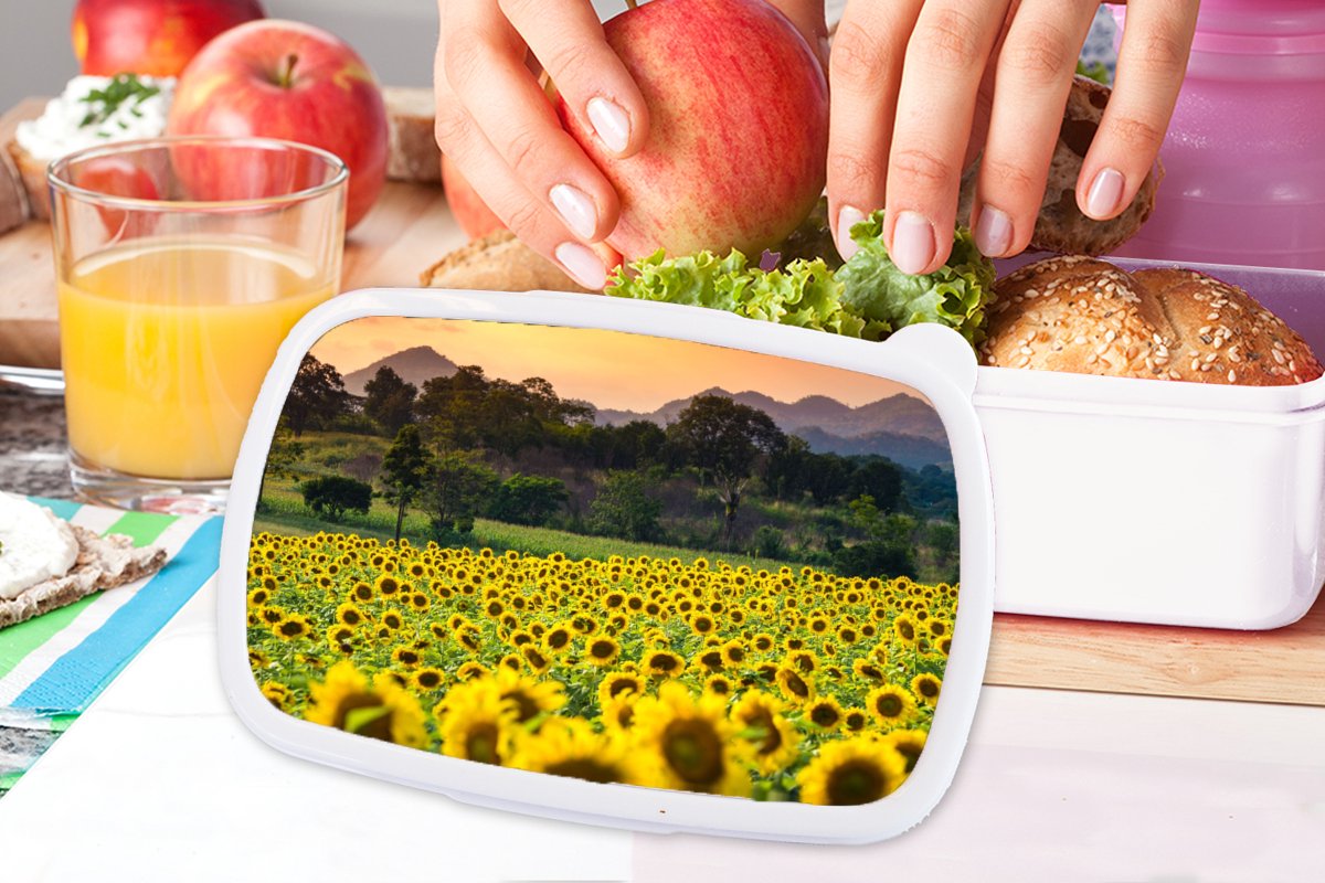 Broodtrommel Wit - Lunchbox - Brooddoos - Zonnebloem - Natuur - Berg - 18x12x6 cm - Volwassenen