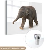 MuchoWow® Glasschilderij 40x30 cm - Schilderij acrylglas - Kleine olifant tegen witte achtergrond - Foto op glas - Schilderijen