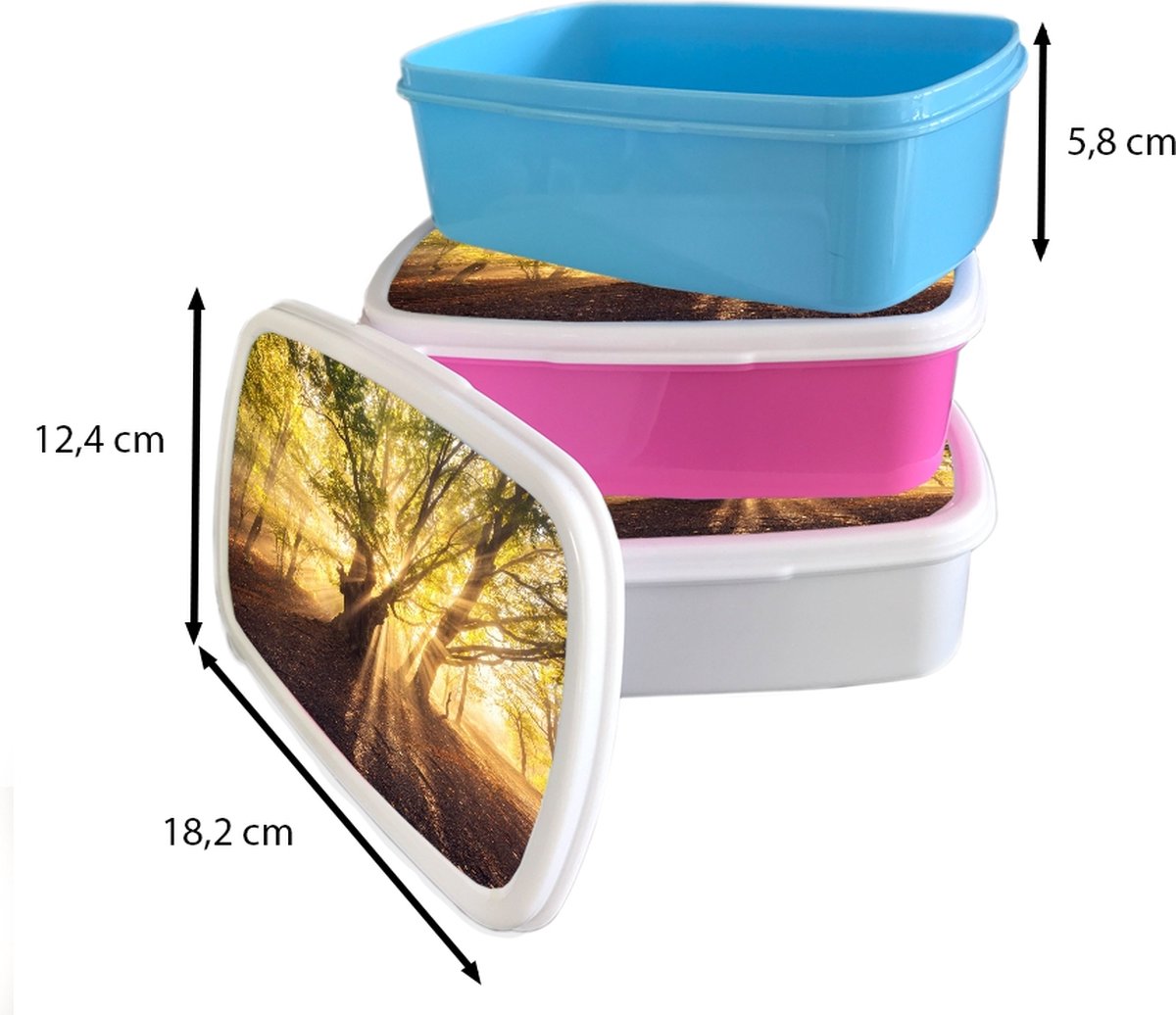Broodtrommel Roze - Lunchbox - Brooddoos - Boom - Bos - Zon - 18x12x6 cm - Kinderen - Meisje