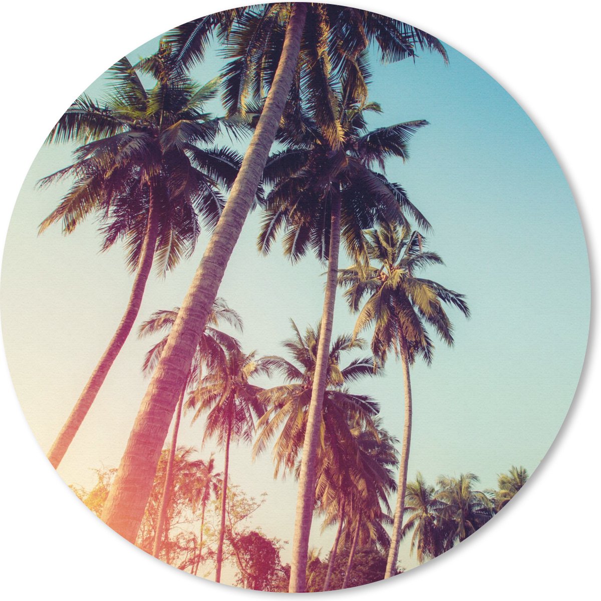 Muismat rond 20x20 cm - Mousepad Palmboom - Zomer - Retro - Zon - Ronde muismatten