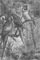 IXXI Macaws Parrots - Wanddecoratie - 120 x 80 cm
