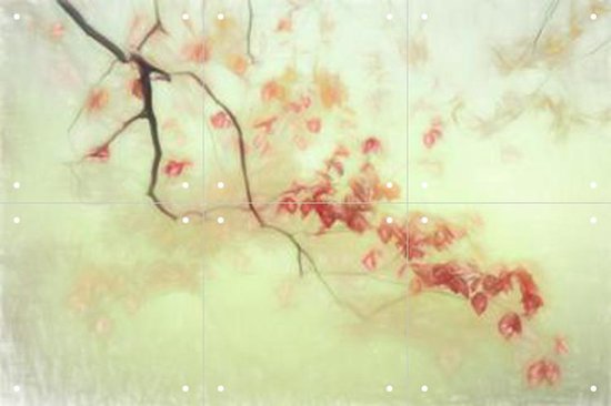 IXXI Luce Dorata - Wanddecoratie - Abstract - 60 x 40 cm