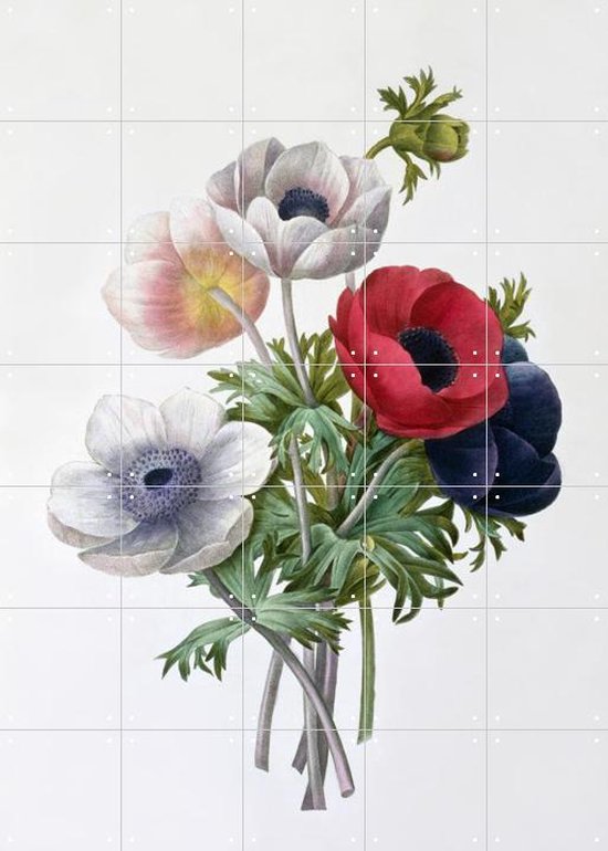 IXXI Anémone - Décoration murale - Fleurs et Plantes - 100 x 140 cm