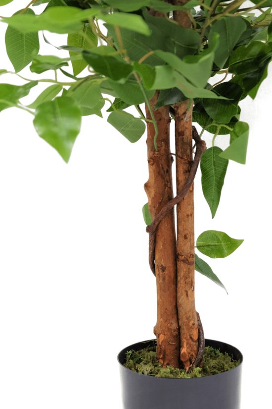 VeriNatural Ficus Kunstplant 150 cm, grote kunstplant met echte houten
