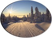 Dibond Ovaal - Sneeuw - Bomen - Bossen - Zon - Wit - 28x21 cm Foto op Ovaal (Met Ophangsysteem)