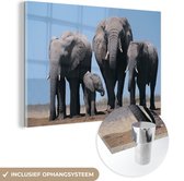 MuchoWow® Glasschilderij 120x80 cm - Schilderij acrylglas - Olifant - Vlakte - Dieren - Natuur - Foto op glas - Schilderijen
