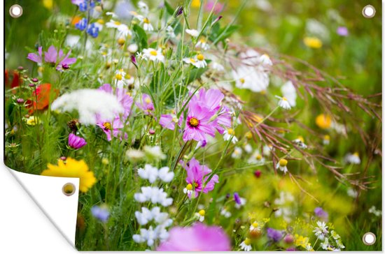 Affiche de jardin Fleurs - Nature - Vert - Herbe - Violet - Wit - 70x40 cm - Décoration murale Extérieur - Affiche de jardin - Toile de jardin - Affiche de clôture - Peinture de jardin