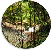 Dibond Muurcirkel - Planten - Water - Tropisch - Bomen - Groen - 40x40 cm Foto op Aluminium Muurcirkel (met ophangsysteem)
