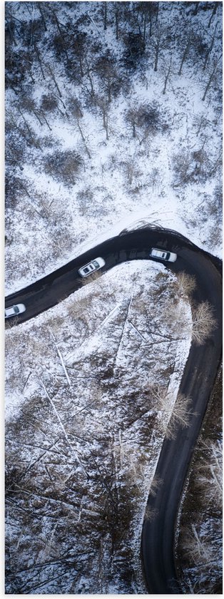 Poster Glanzend – Sneeuw - Bomen - Bossen - Voertuigen - Auto - Weg - 20x60 cm Foto op Posterpapier met Glanzende Afwerking