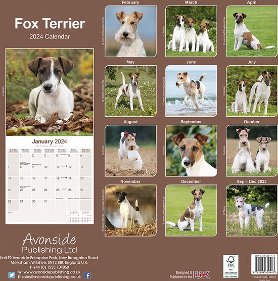 Fox Terrier Kalender 2024 bol
