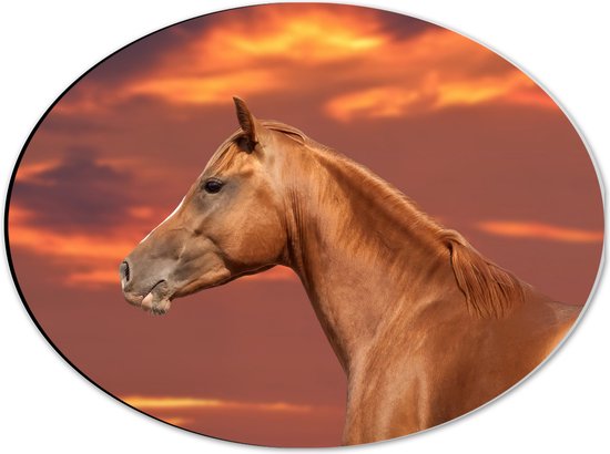 Dibond Ovaal - Zijaanzicht van Glanzend Bruin Paard onder Oranje Gloed in de Lucht - 40x30 cm Foto op Ovaal (Met Ophangsysteem)