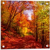 Tuinposter – Bospad Bedolven onder Rode Herfstbladeren in Herfstbos - 50x50 cm Foto op Tuinposter (wanddecoratie voor buiten en binnen)
