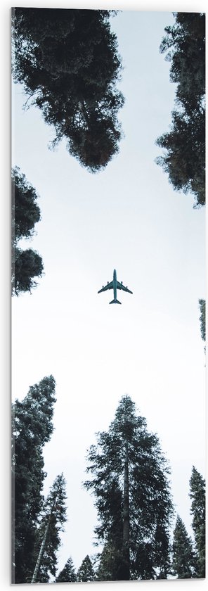 Acrylglas - Onderaanzicht van Passagiersvliegtuig tussen Hoge Bomen - 30x90 cm Foto op Acrylglas (Met Ophangsysteem)
