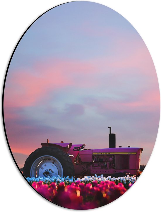 Dibond Ovaal - Felroze Tractor Geparkeerd in het Bloemenveld - 30x40 cm Foto op Ovaal (Met Ophangsysteem)