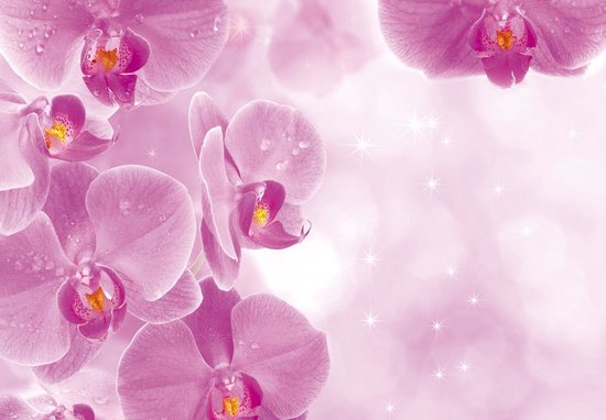 Fotobehang - Vlies Behang - Roze Sprankelende Orchideeën - 368 x 254 cm