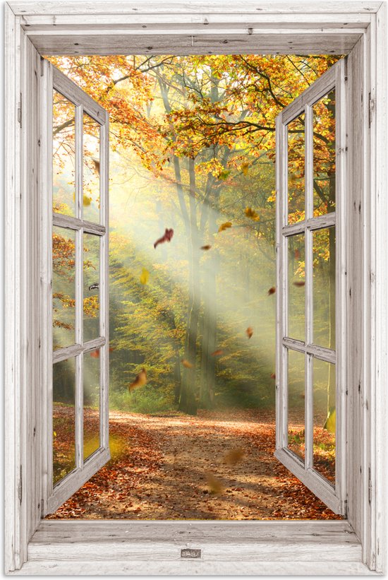 Poster 80x120 cm - Bos - Bomen - Herfst - Zon - Herfstbladeren - Natuur - Doorkijk - Posters - Kamer decoratie - Wanddecoratie woonkamer - Muurdecoratie slaapkamer